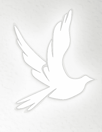 Gregory S. Pattee Obituary
